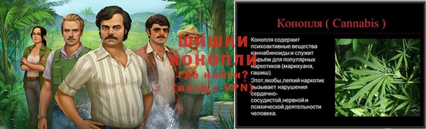 спайс Лагань